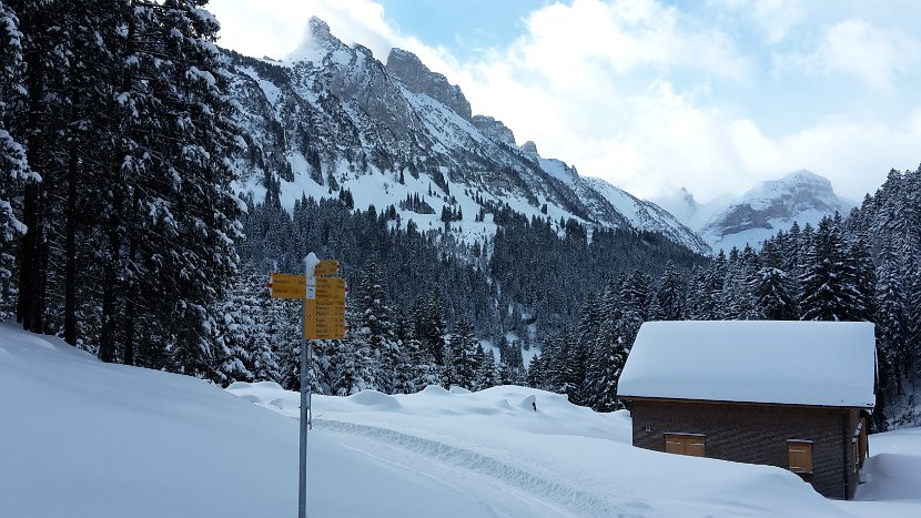 03-Aussicht vom Platteboedeli mit Staubern und Roslenfirst