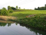 IMG-20170525-WA0019.jpg