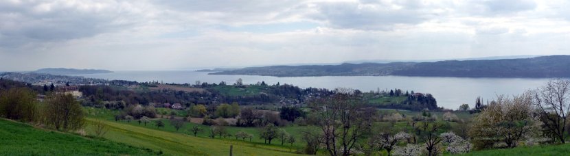 Blick gegen Ueberlingen und den Obersee vom Hoedingerberg