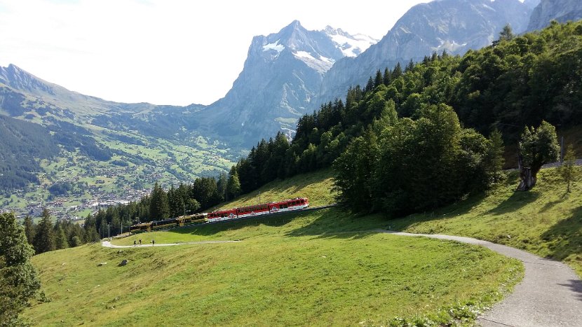 2017-08-07_10.34 Grindelwald mit Wetterhorn