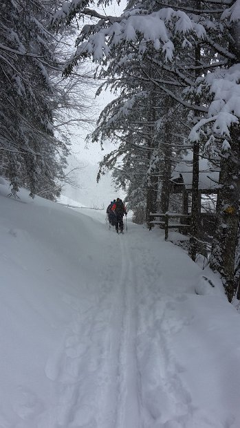 2017-12-28_10.26 Einlaufskitour Wolzenalp - jg