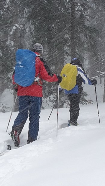 2017-12-28_11.21 Einlaufskitour Wolzenalp - jg