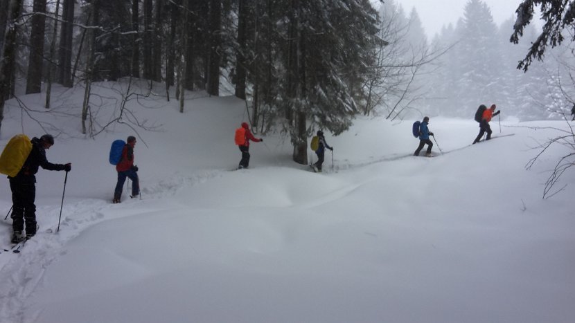 2017-12-28_12.07 oberhalb der Spitzweid - jg