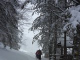 2017-12-28_10.26 Einlaufskitour Wolzenalp - jg.jpg