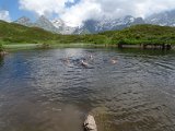 46 - herrliche Erfrischung bei der Silerenalp.jpg