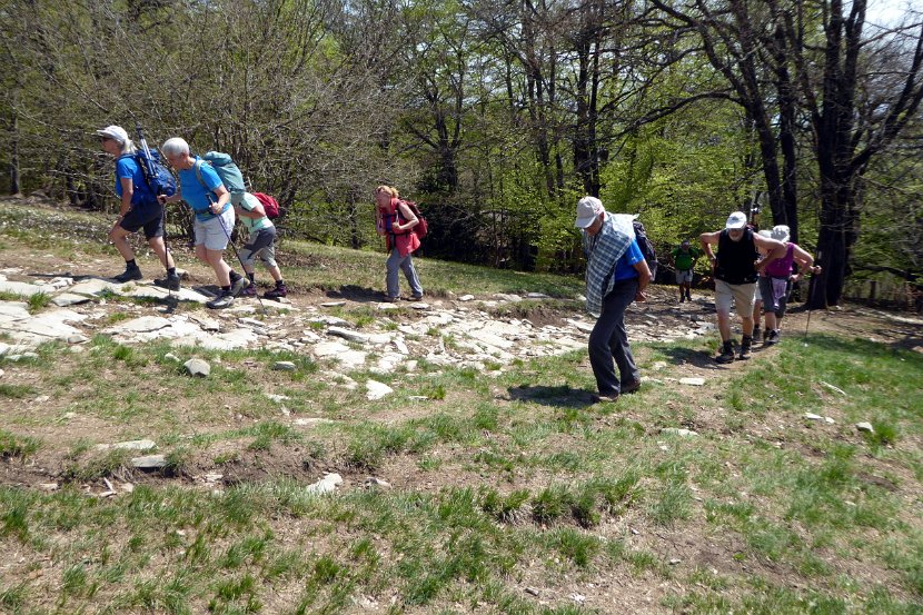 180422_Monte San Giorgio_0205