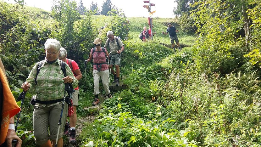 2019-09-19_13.31 Abzweigung beim Fruttli