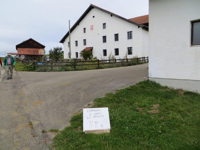 08.10.19-02 Le Petit Bois Derriere (Hinterwald)Tafel frei uebersetzt 'freilaufende Katzen und Kinder'