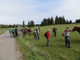 08.10.19-04 Bewaeltigungsversuch des Zwickdrahtes und Verteilung von Streicheleinheiten.jpg