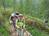 013_19.06.20_ ws Aufsteig zum Lago di Mognola.jpg