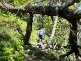 026__foto koebi Aufstieg im Wald von Lodano.jpg