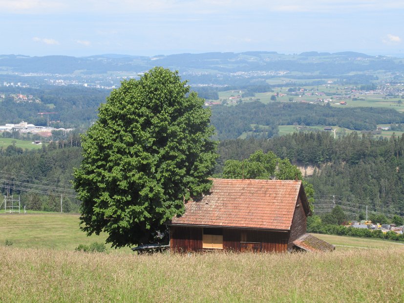 01 - Blick Richtung Bodensee