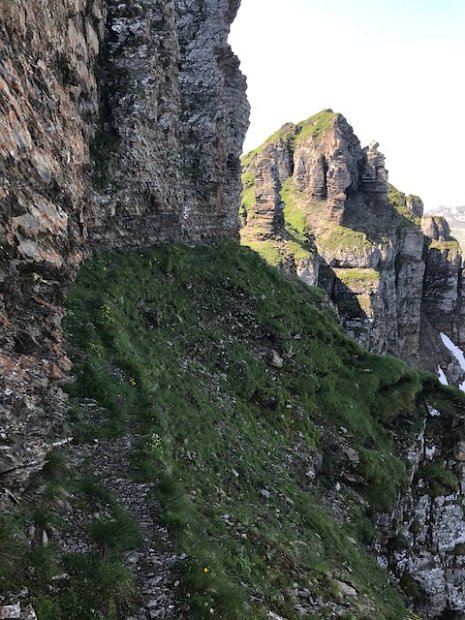 Unter dem Hochgamatsch - Hintergrund Hochfinsler