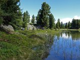 DSC06133.JPG