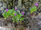 DSC06146.JPG