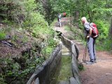 08.06.21-16 Suonen in Holzstammfuehrung.jpg