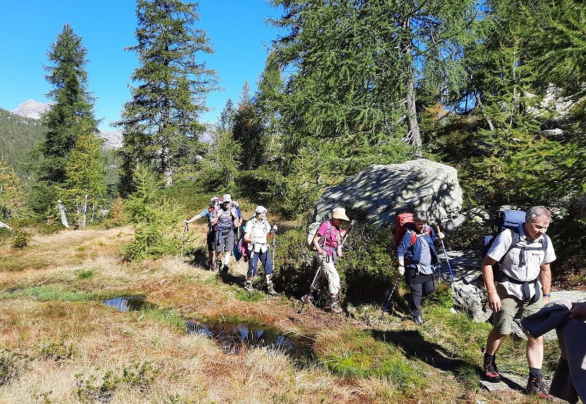 24.09.21  10-ws Hochmoor am Passo della Cavegna