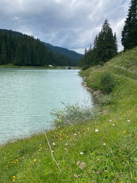 09 - Stausee Isel