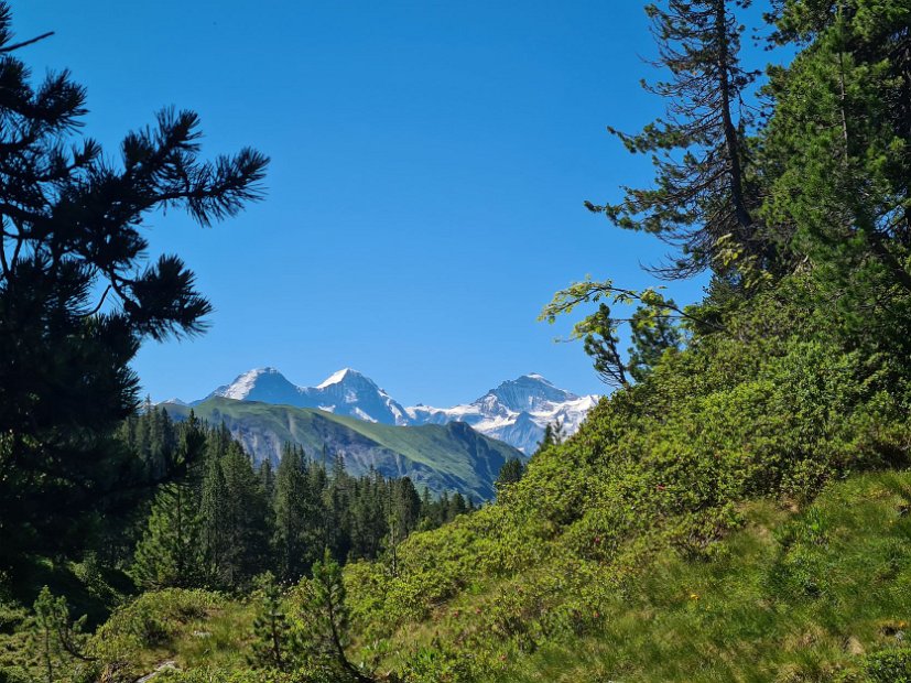 2. Tag EWF-PräsiTour 22 (08) - Aufstieg zum Hohgant.jpg