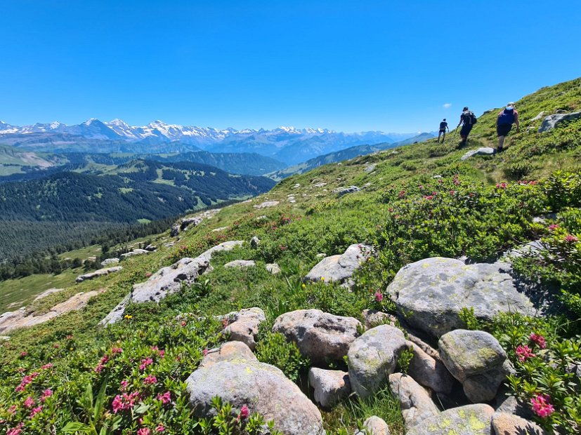 2. Tag EWF-PräsiTour 22 (32) - Auf dem Grat zwischen Hohgant und Eriz.jpg