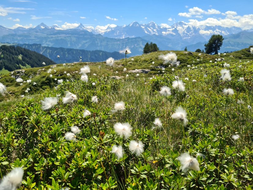 3. Tag EWF-PräsiTour 22 (30) - Schlussteil Richtung Niederhorn.jpg