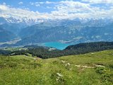 3. Tag EWF-PraesiTour 22 (36) - kurz vor dem Ziel auf dem Niederhorn.jpg