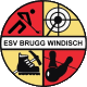 ESC Basel Logo