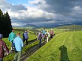 Abendwanderung 3