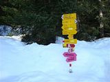 Winterwanderung Lenzerheide 2
